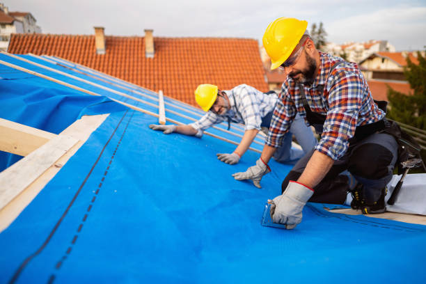 Best Metal Roofing Contractor  in Sedalia, MO