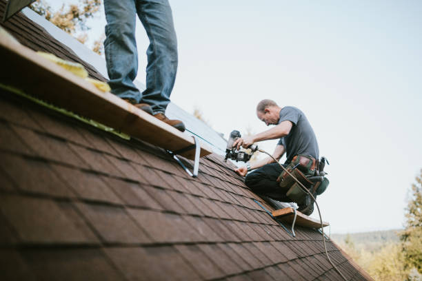 Professional Roofing Contractor in Sedalia, MO